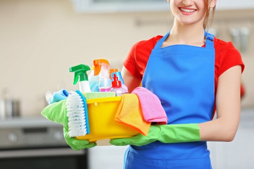 Modern carpet steam cleaner in action