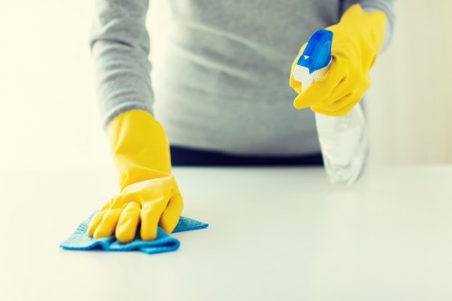 Carpet steam cleaner functioning