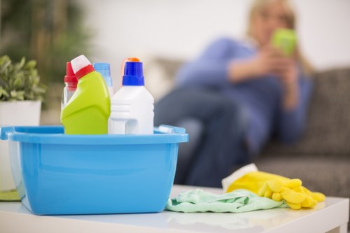 Preparing a steam cleaner for window cleaning