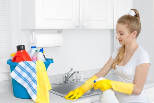 Preparation steps for steam cleaning a carpet